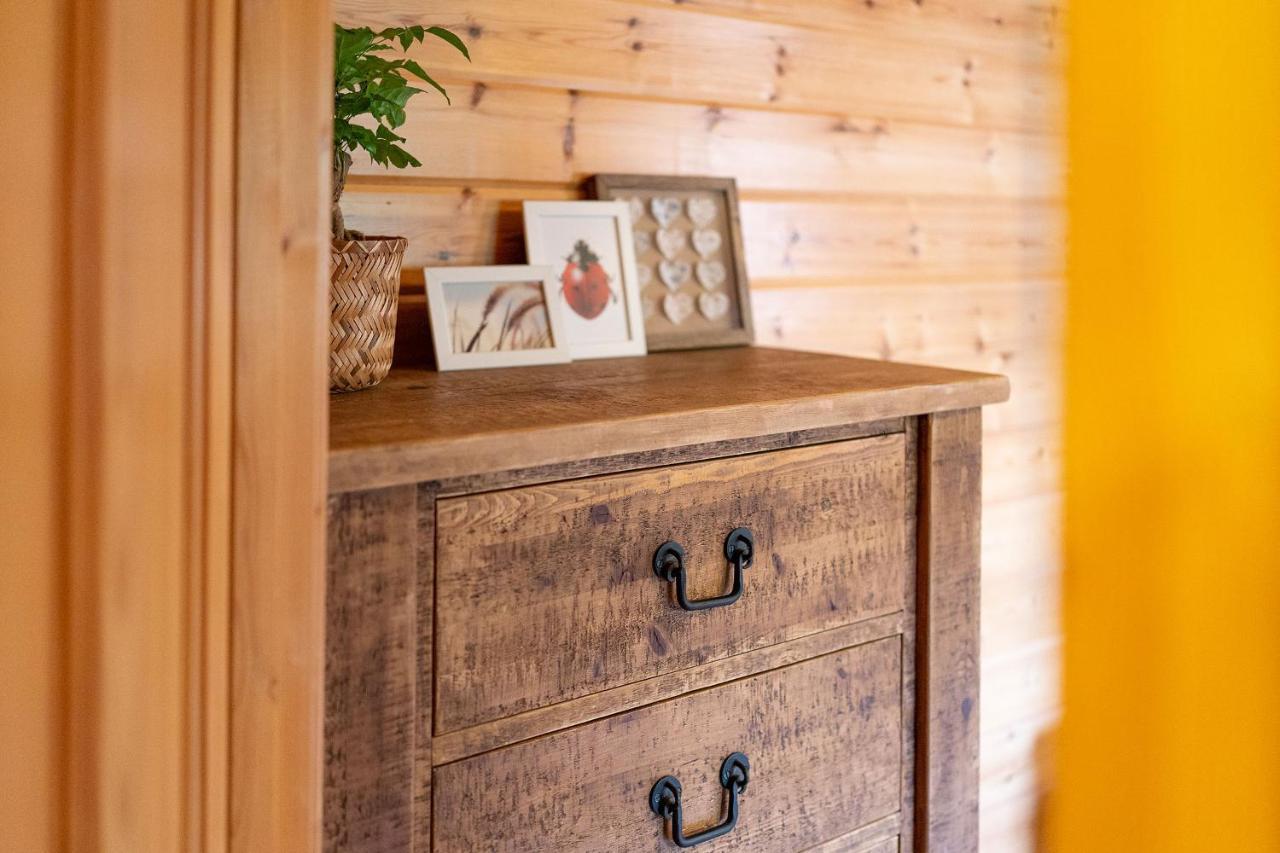 New Scone Cabin In The Denヴィラ エクステリア 写真
